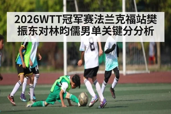 2026WTT冠军赛法兰克福站樊振东对林昀儒男单关键分分析